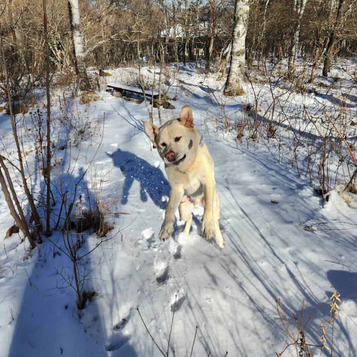 E789b768 1c38 4887 a4ed 85d483ed24e6 1704454125806