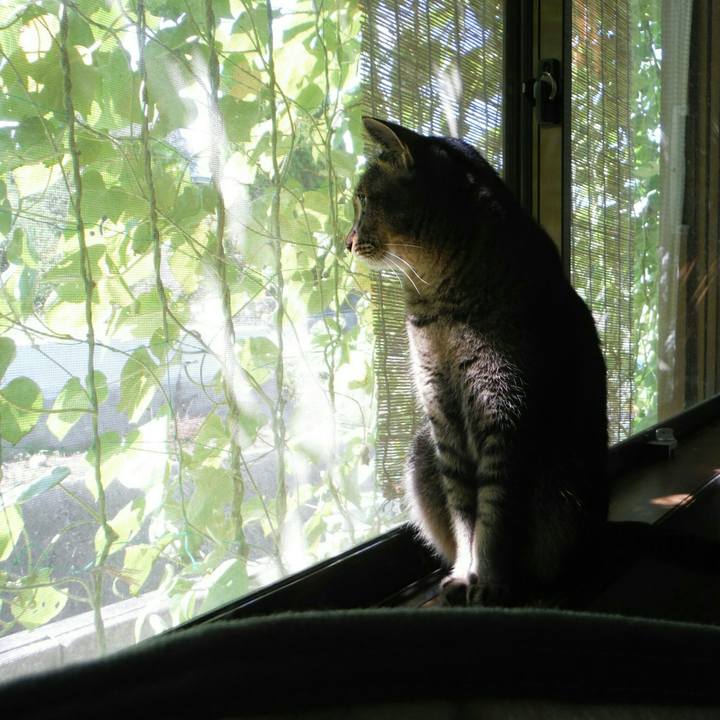 E789dda2 2e78 4b7c b48a 10501b3bc9b3 1538437200081