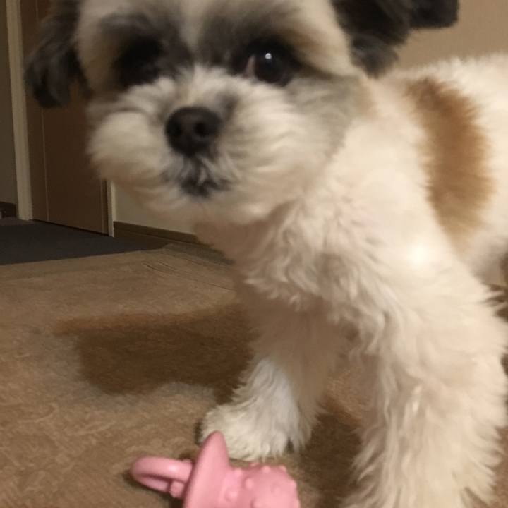 E789e1b7 42f1 4604 baf3 d5707706143c 1516699026476