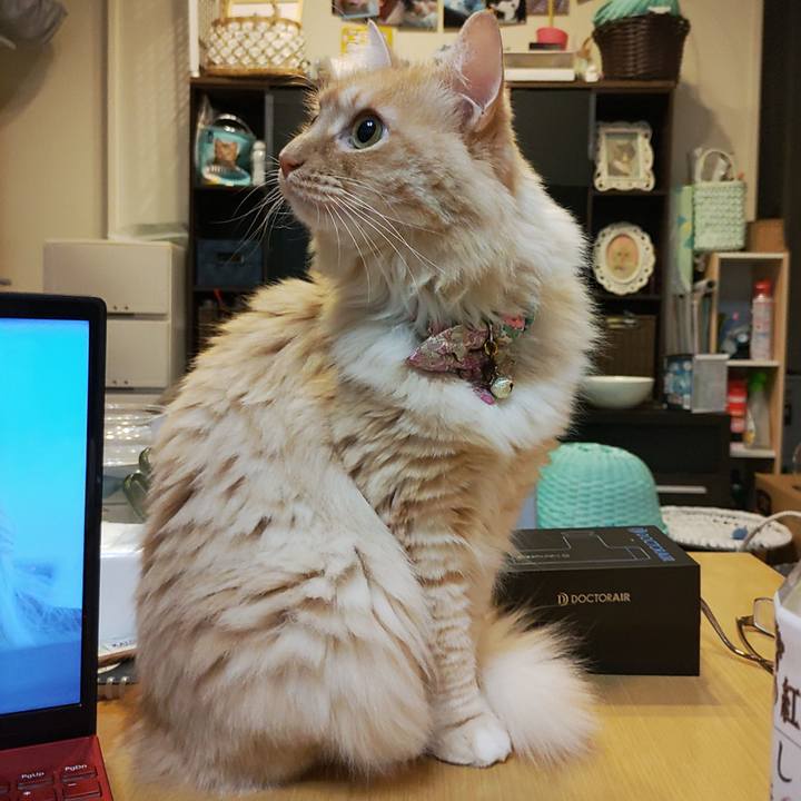 E789ee21 8817 49a8 aa4e f12e8b11eb56 1669815461537