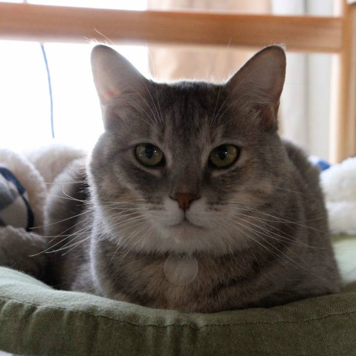 E789f71f 6634 498a b6fb 83eeccb62cb8 1541721139093