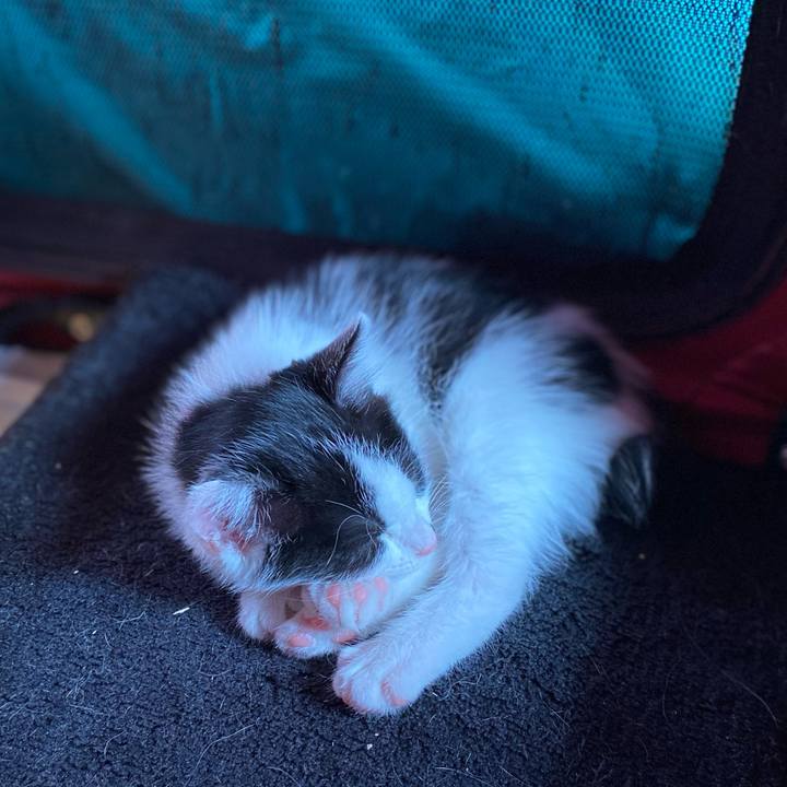 E78a2cfe c74b 4acf 8538 b02f120ee20f 1652678953545