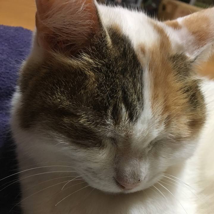 E78a7285 d47a 4492 a63b 2d8e0c77b9f5 1521899514878