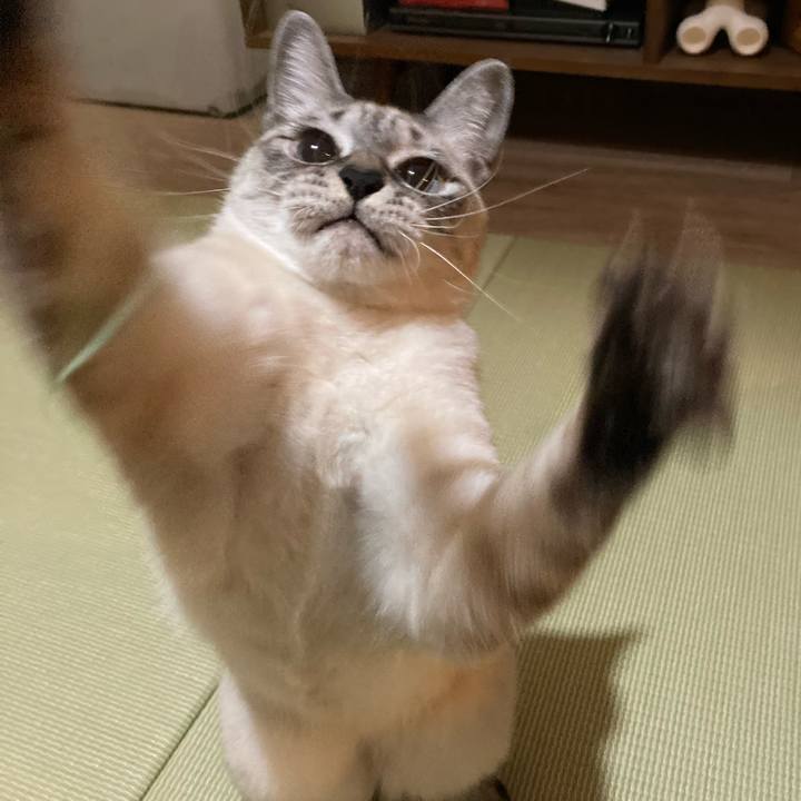 E78a977d 561e 49b0 8b68 213acf9f62e9 1605708287316