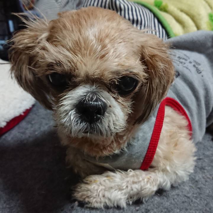 E78a9cd9 31d3 4b45 85fc d6686979b925 1521551803194