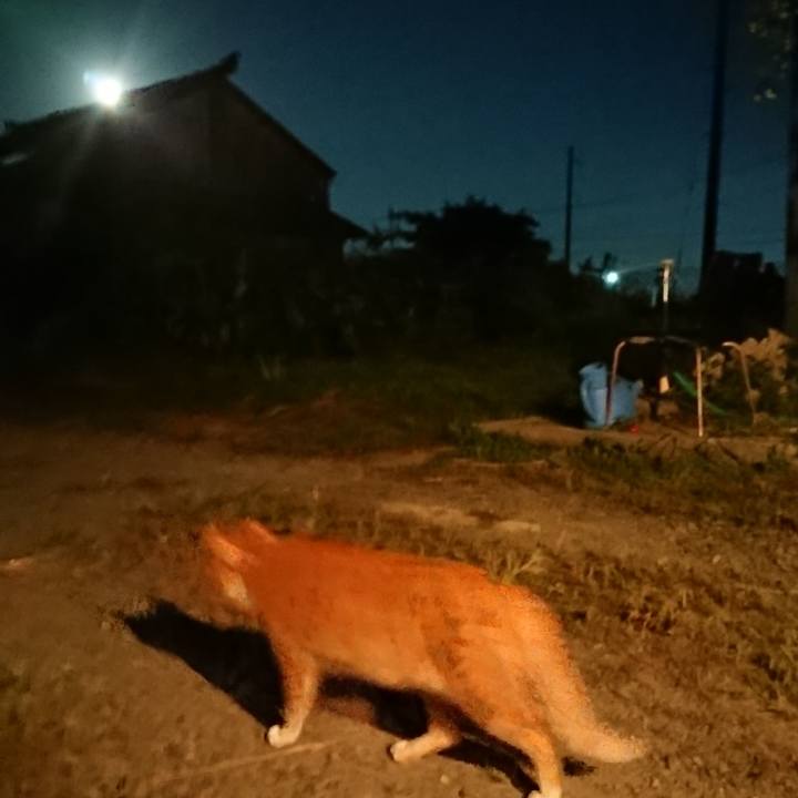 E78aef4f 573f 4d81 bc8b 2b71bb948dcd 1568369052859