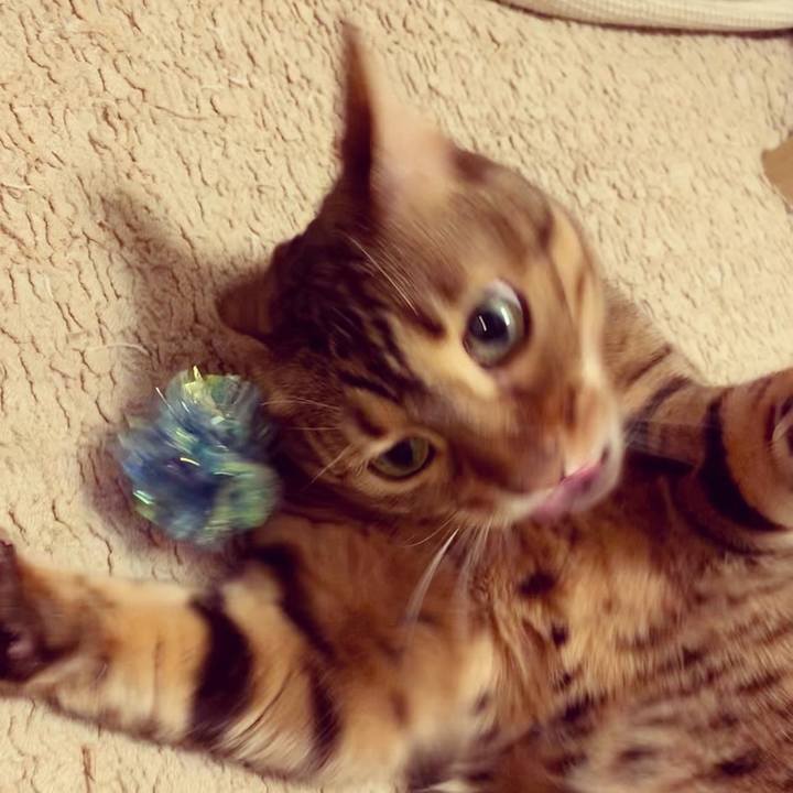 E78b2c2e 153a 4d42 a1a0 25ebb697293a 1589592813474