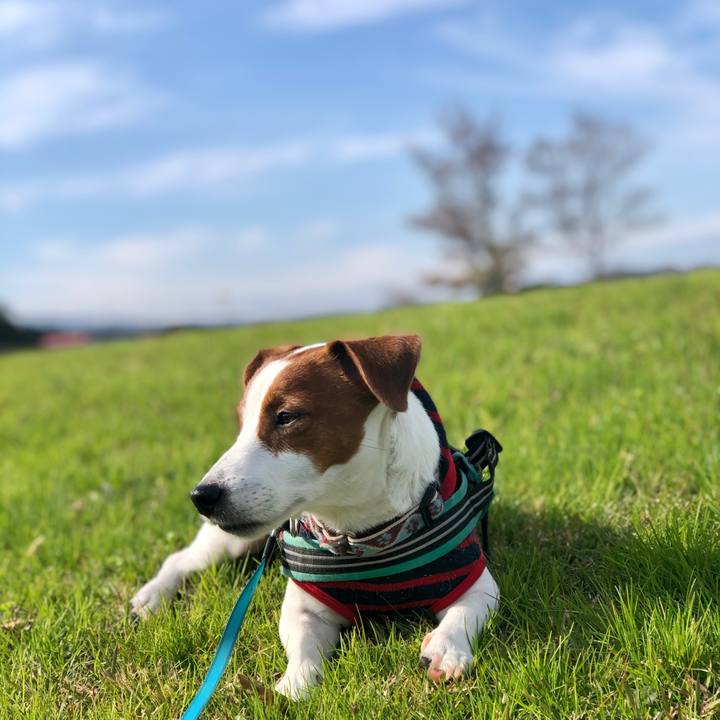 E78b674e a78f 4f64 bcf4 60617943827a 1607686023994