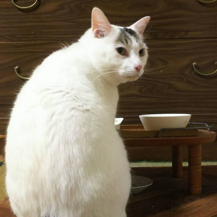 E78ba9e0 c95e 4f3d b3b1 70db8dae7b73 1533134745989