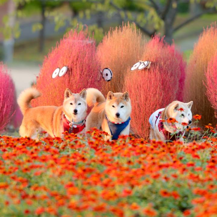 E78bae68 de16 49a7 8be7 a93554bff654 1762274111261