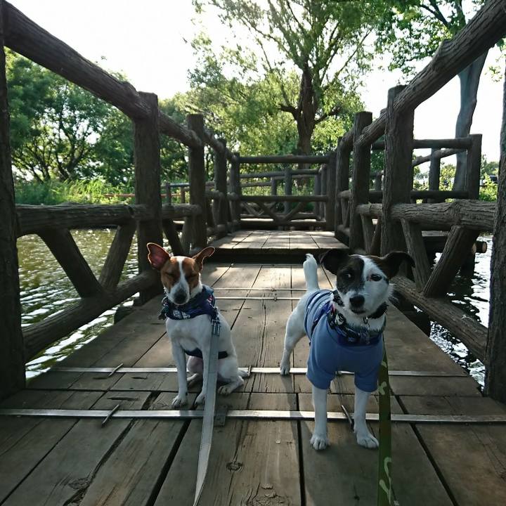 E78bd40c 2911 4321 b17c cc74296dc87d 1525513782180