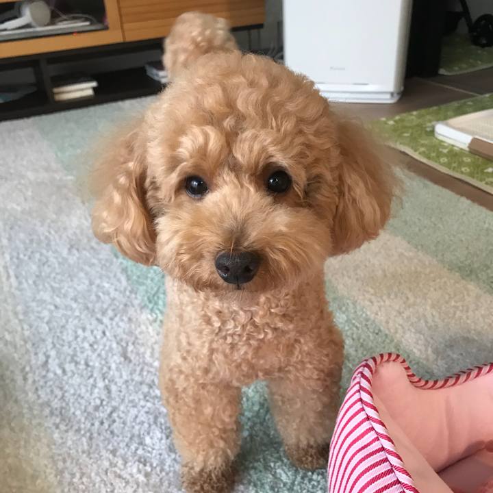 E78bf806 ca0f 4561 9296 8d795e2ad480 1529044433772