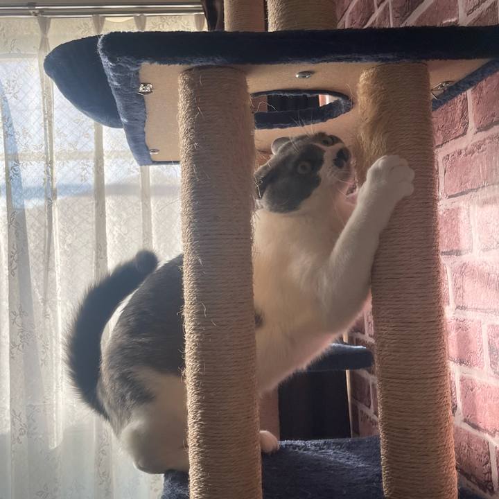 E78c4e10 c430 4732 9560 d5f493800dee 1671751394287