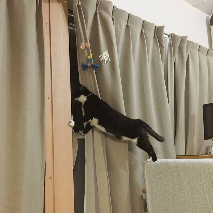 E78c7669 f2ee 43c5 9dfa 293baddef265 1776253569306