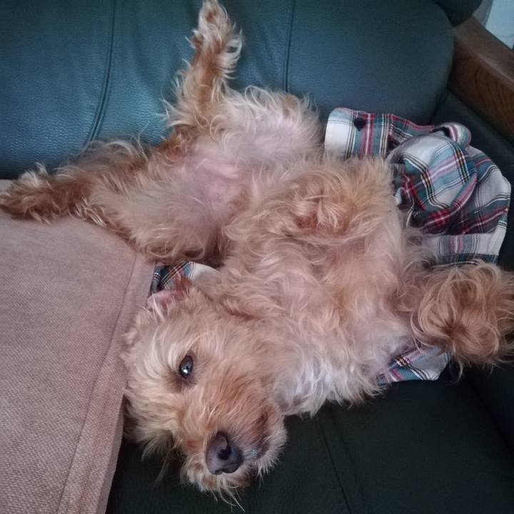 E78cebfd 8dc1 47a5 910c e5fb13e6f140 1568328449884