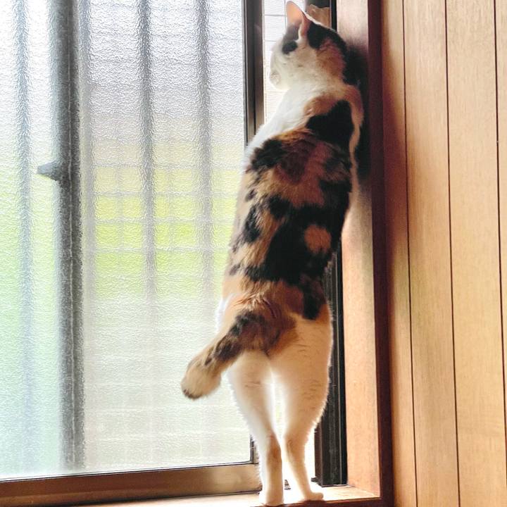 E78d344e db0f 4fdf b391 290148f4478f 1656296464434