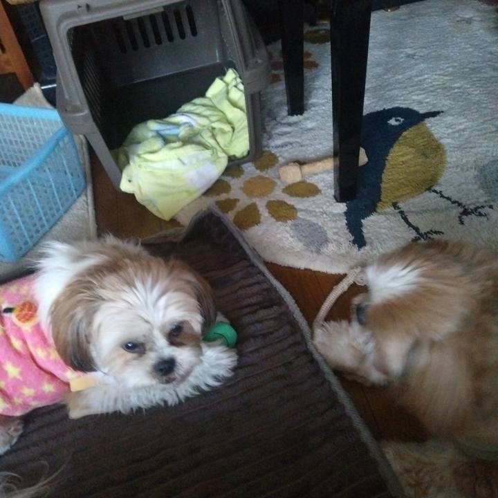 E78d3726 c4e5 487f bfa4 560d8ae2dde7 1671175136279