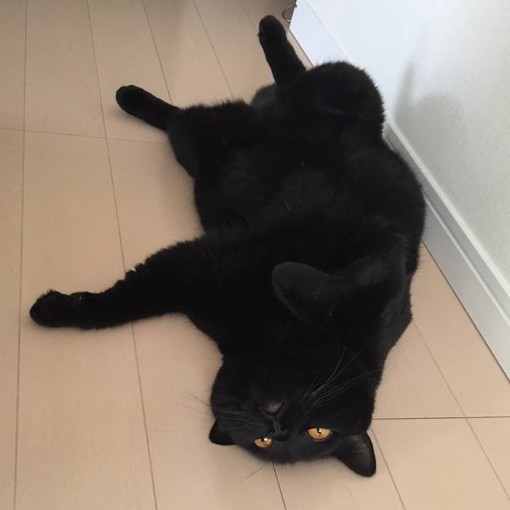 E78d3982 f2ec 4763 b33a b2b624810eea 1531711305763