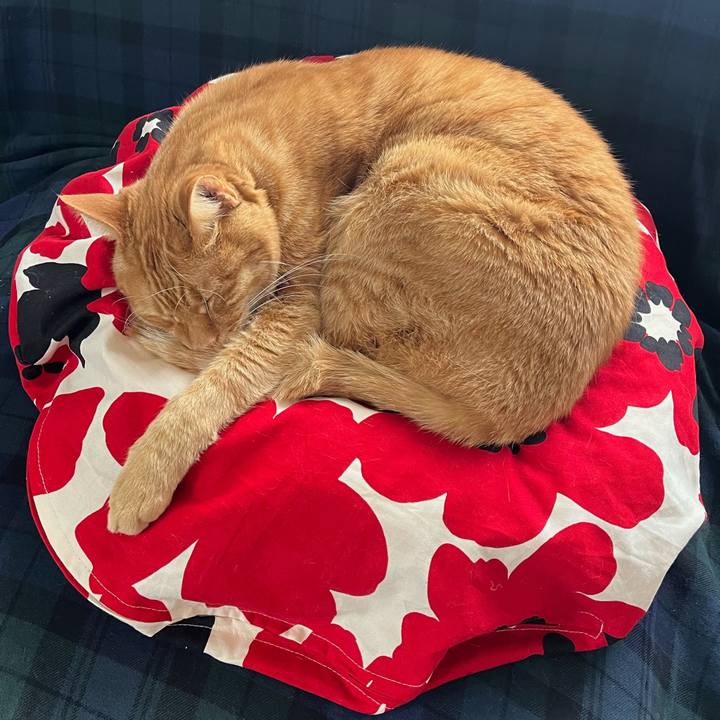 E78d5a93 4304 4452 a704 54aaef20f8bf 1776850490928