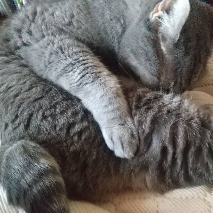 E78d715f c89a 43fe a951 dd7e623f0c51 1661827705641