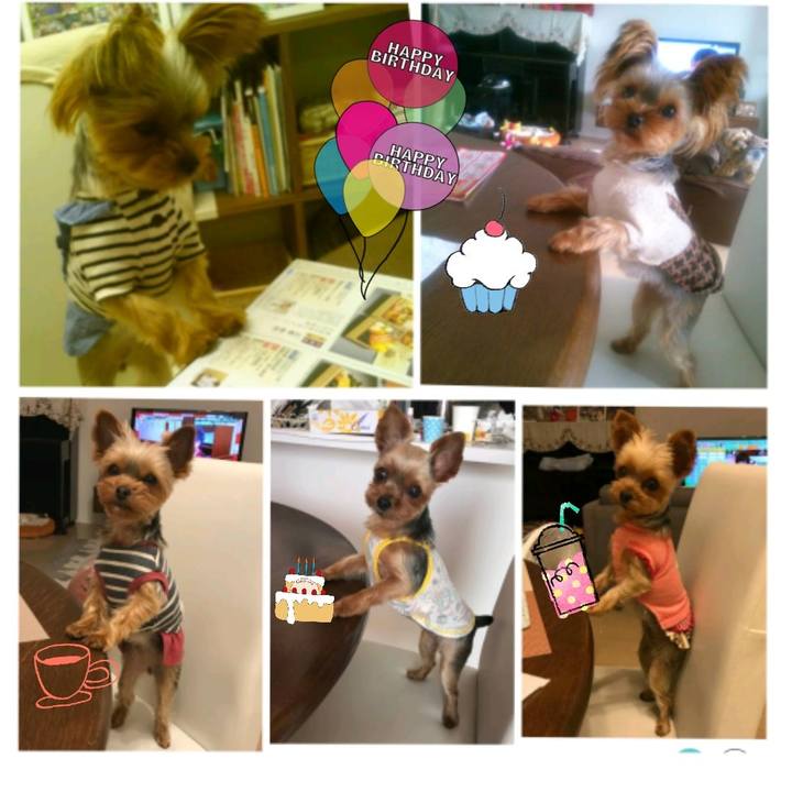 E78d77f8 4934 4fec af9d 7991ca2df676 1520999728144