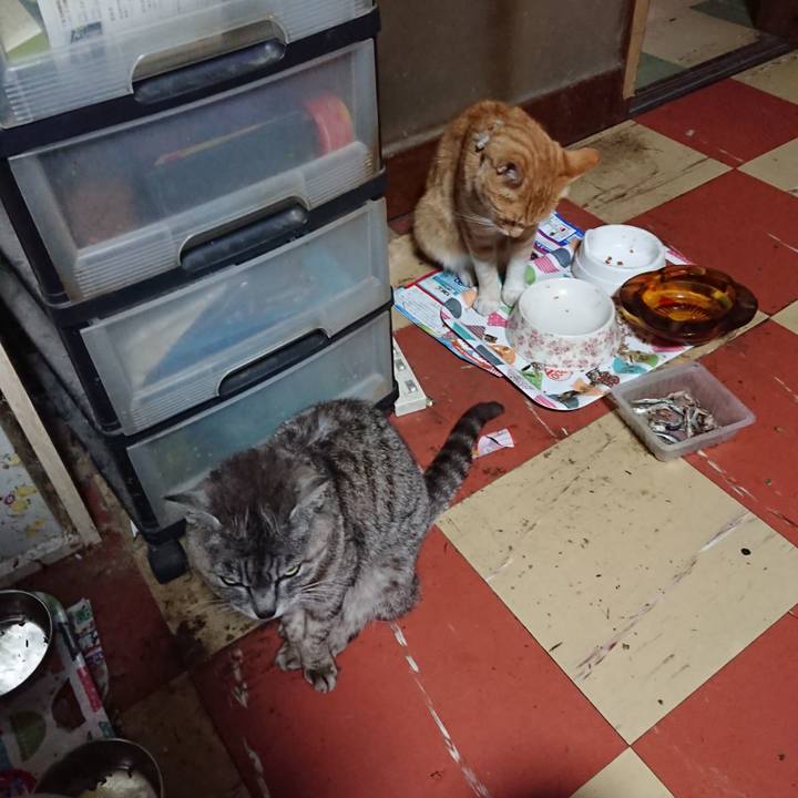 E78d7d4f c8f5 496f 8848 668f75858a3c 1593460230261