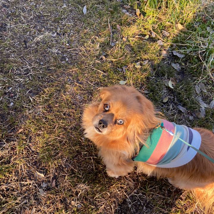 E78d9a46 8535 4379 87d9 f5d99ea01183 1645830459867