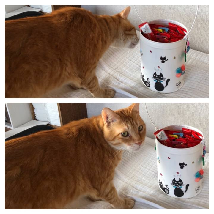 E78dc560 6b72 4c97 888d 7c535a0b1fe9 1601328335383