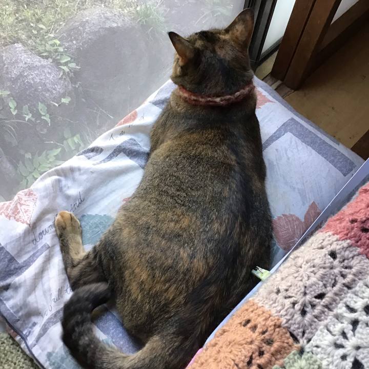 E78dd153 b1ef 4fa2 9ad7 417995c7d7ae 1633163825265