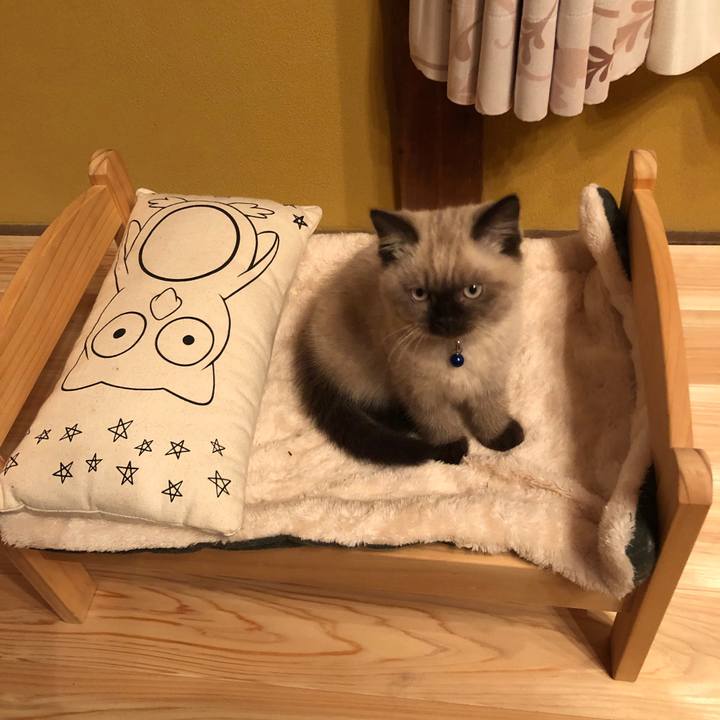 E78e280b 8116 4bb0 bfee 90779eed6291 1587170523416