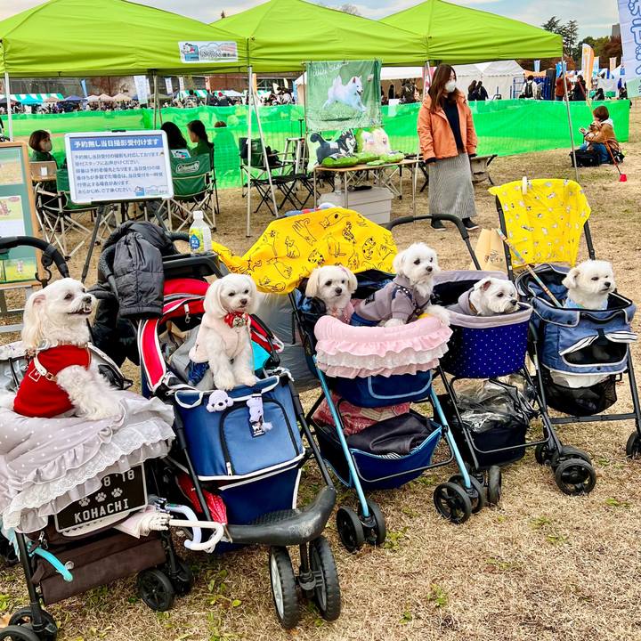 E78e474c 17a7 4421 8335 8a5791877649 1669454015169