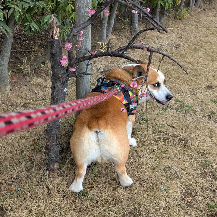 E78eea51 ce65 4f90 b97a b0d050928e04 1772511002316