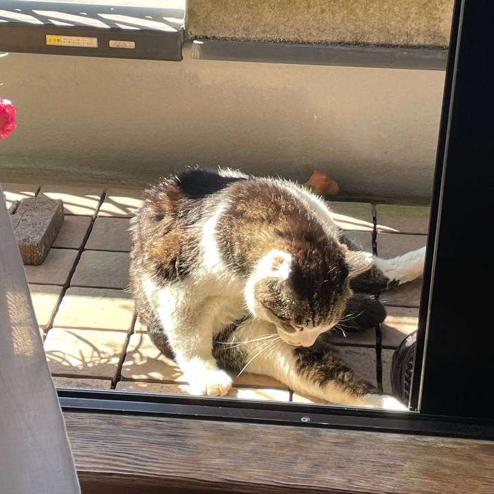 E78ef548 0e8f 4ad5 b7eb d050fca05cd4 1685091011550