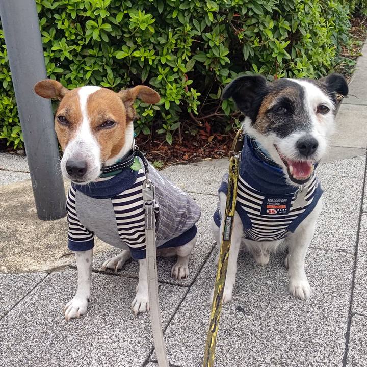 E78efdfa 453e 4067 95f4 58f12bab187c 1695246546252