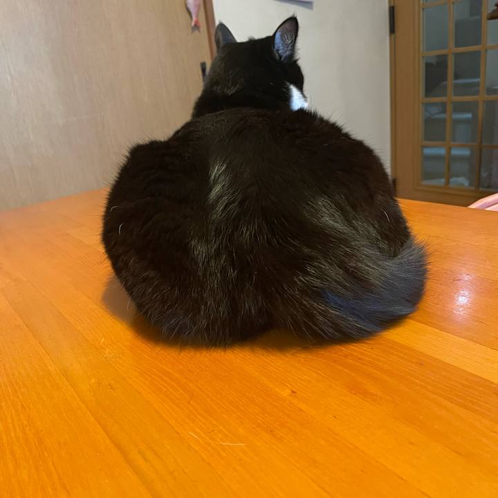 E78f0a4f 9f95 4160 9f7e e337c6e2d62d 1711329321843