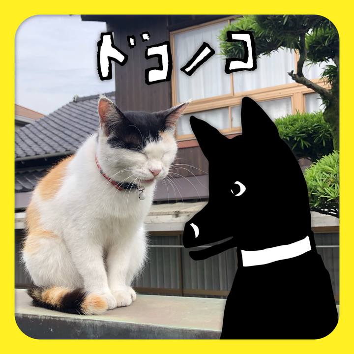 E78f2814 6887 4635 a53a 89dad095659b 1623075651342