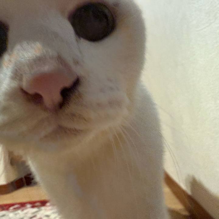 E78f2ae3 72d0 4c91 ab4c e036660c4386 1767658387188