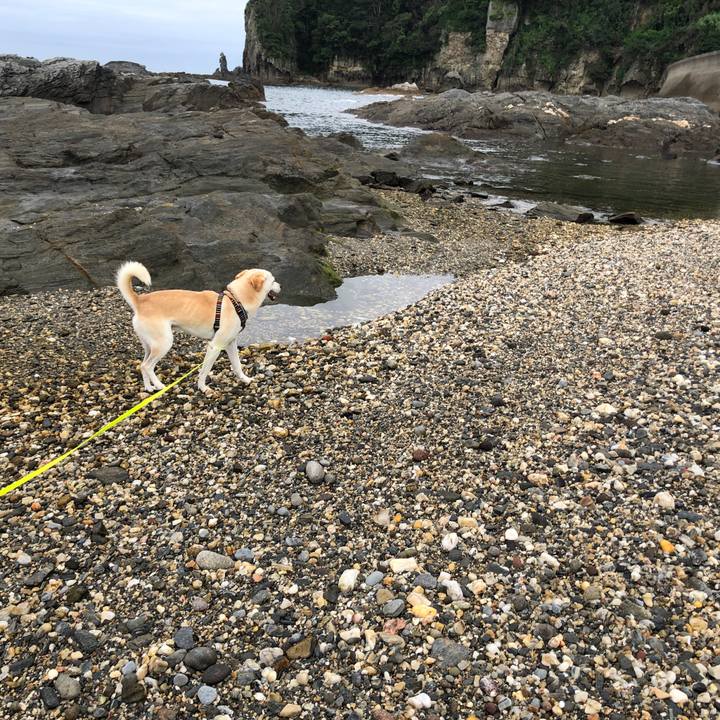 E78f3f7c e25c 4332 82c0 be87d98b04b1 1627473175532