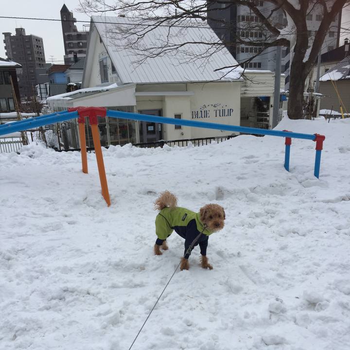 E78f693f 1418 442e bacc 5932040d7131 1517616372266