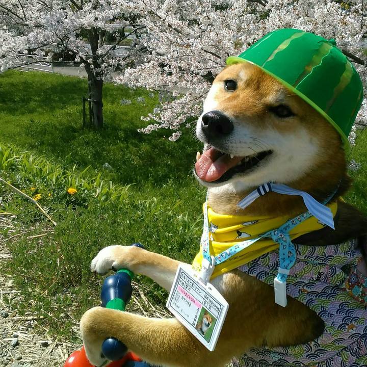 E78f7d47 cabc 4c45 b4c7 ce7ca3964c12 1522471788468