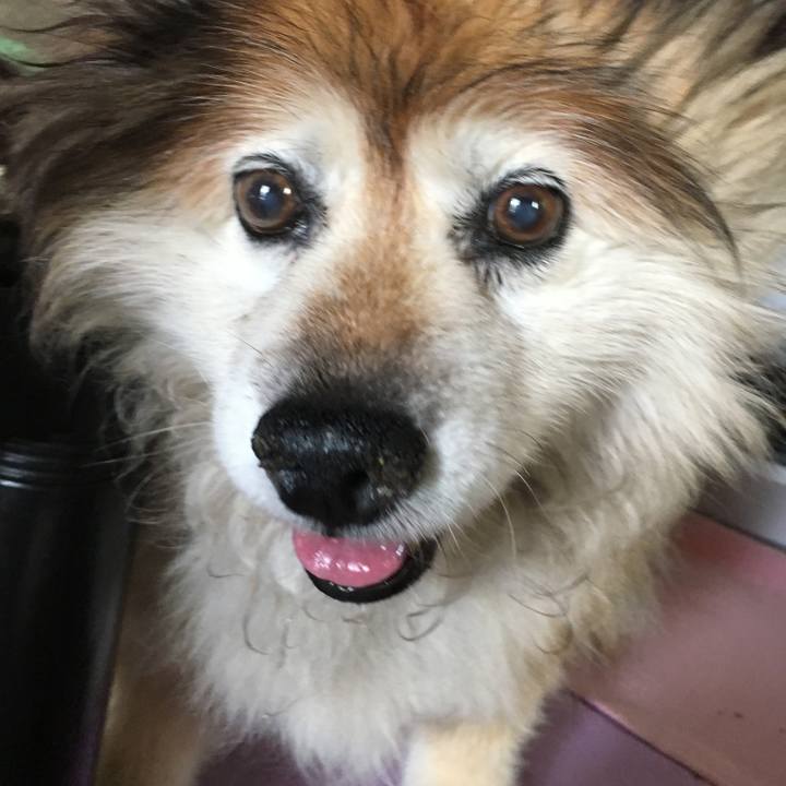 E78f8b7b 0edf 4a48 a942 1549f221c522 1596415916741