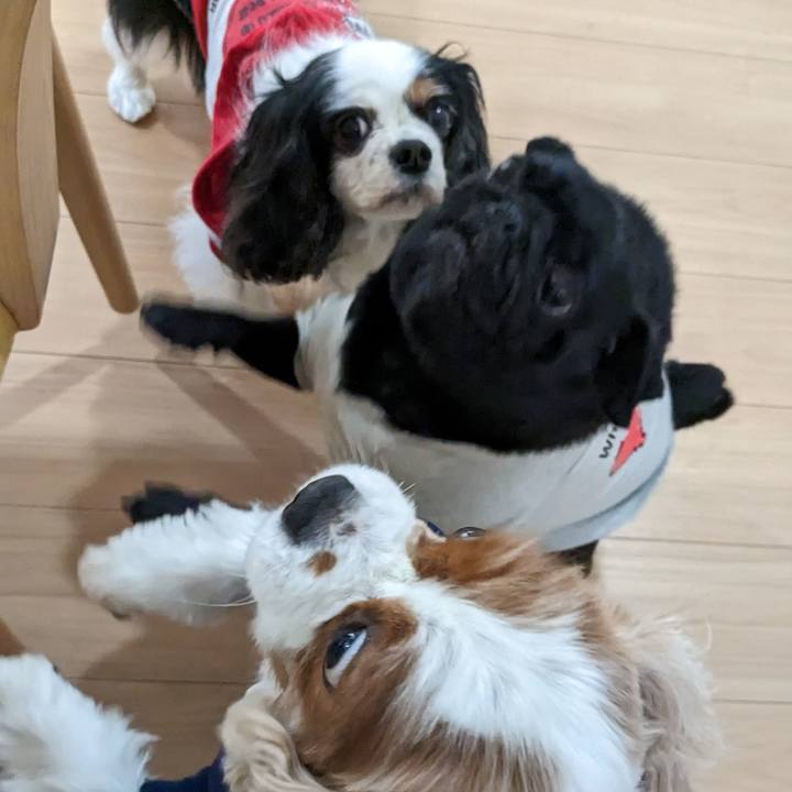 E78fc6dd ef68 4a7b 9cdb d3638cd406c7 1683100173275