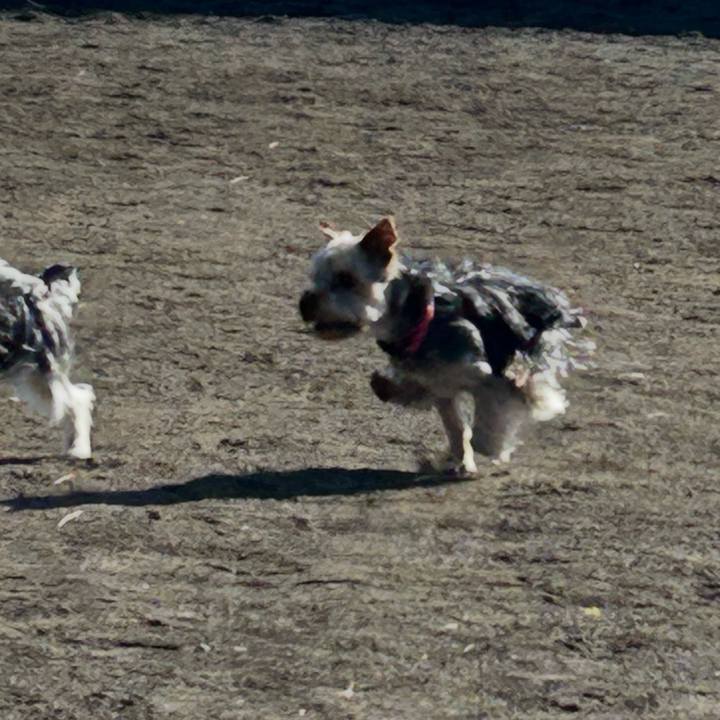 E78febde 454c 4949 97f4 3188e02a5abe 1767928095799