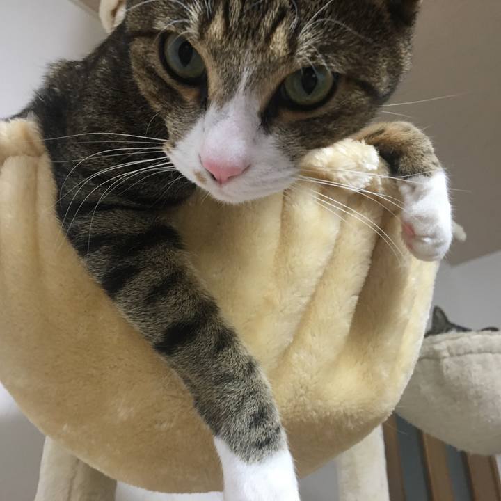 E78ffc3b a800 4b9d b4e0 518b182af431 1706113498792