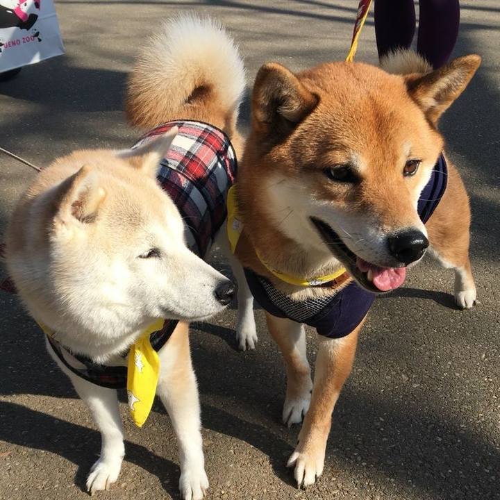 E78ffe4e 0f70 4730 bc5a 5fa380a850cb 1678799302652