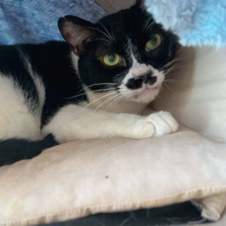 E79037f4 7f3d 489d b8c0 e6c2a48de9d4 1684314974802