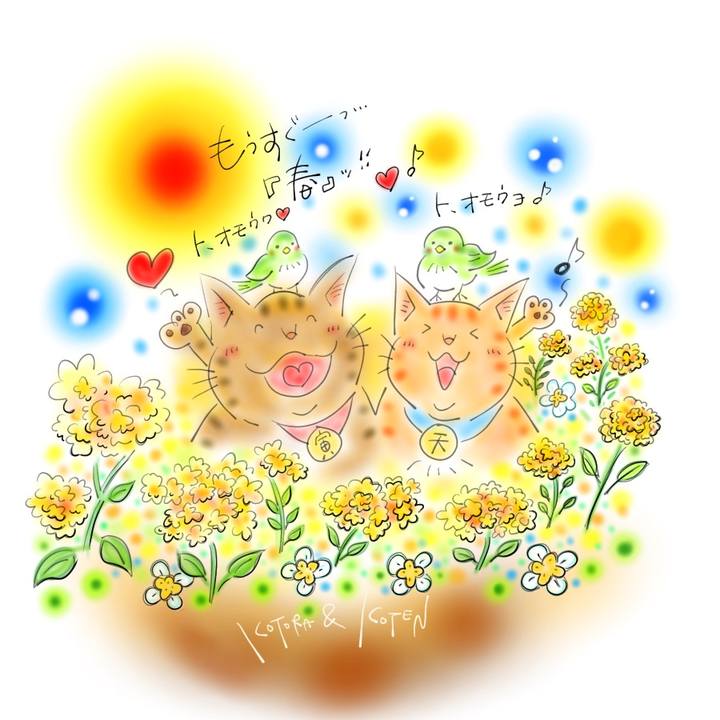 E790389f 996b 43d8 84c2 e546cb167c0f 1615329199442