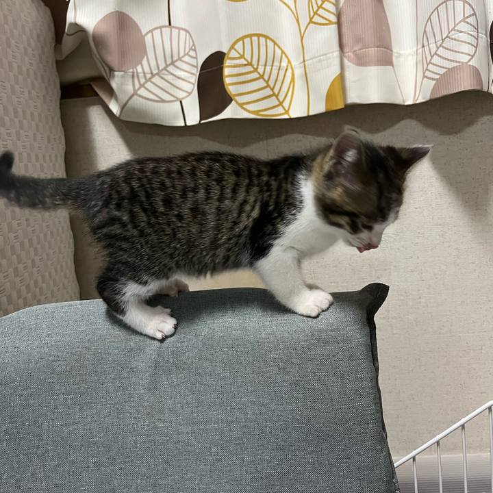 E790c56a 38ae 4995 9a03 b13688e87cc9 1765838943496