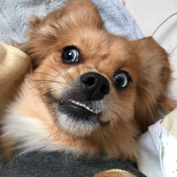 E790d191 61a9 47ff 9d03 8771e9697ca5 1514855793396