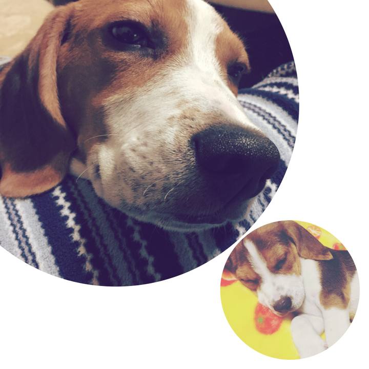 E791b169 e681 4d9c ba57 4a987102e92f 1518701416849